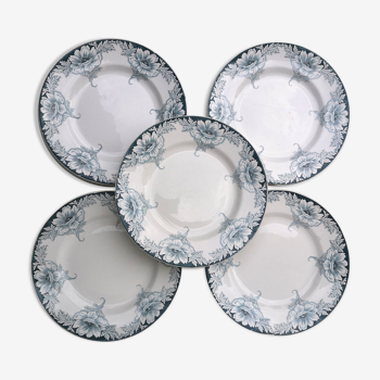 Lot 5 flat plates iron earth "Suzanne"