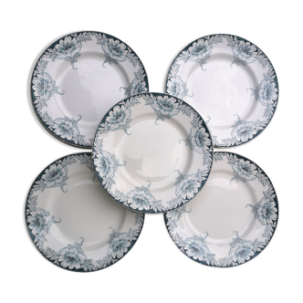 Lot 5 flat plates iron earth "Suzanne"