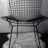 Chaise par Harry Bertoia rislan en noir