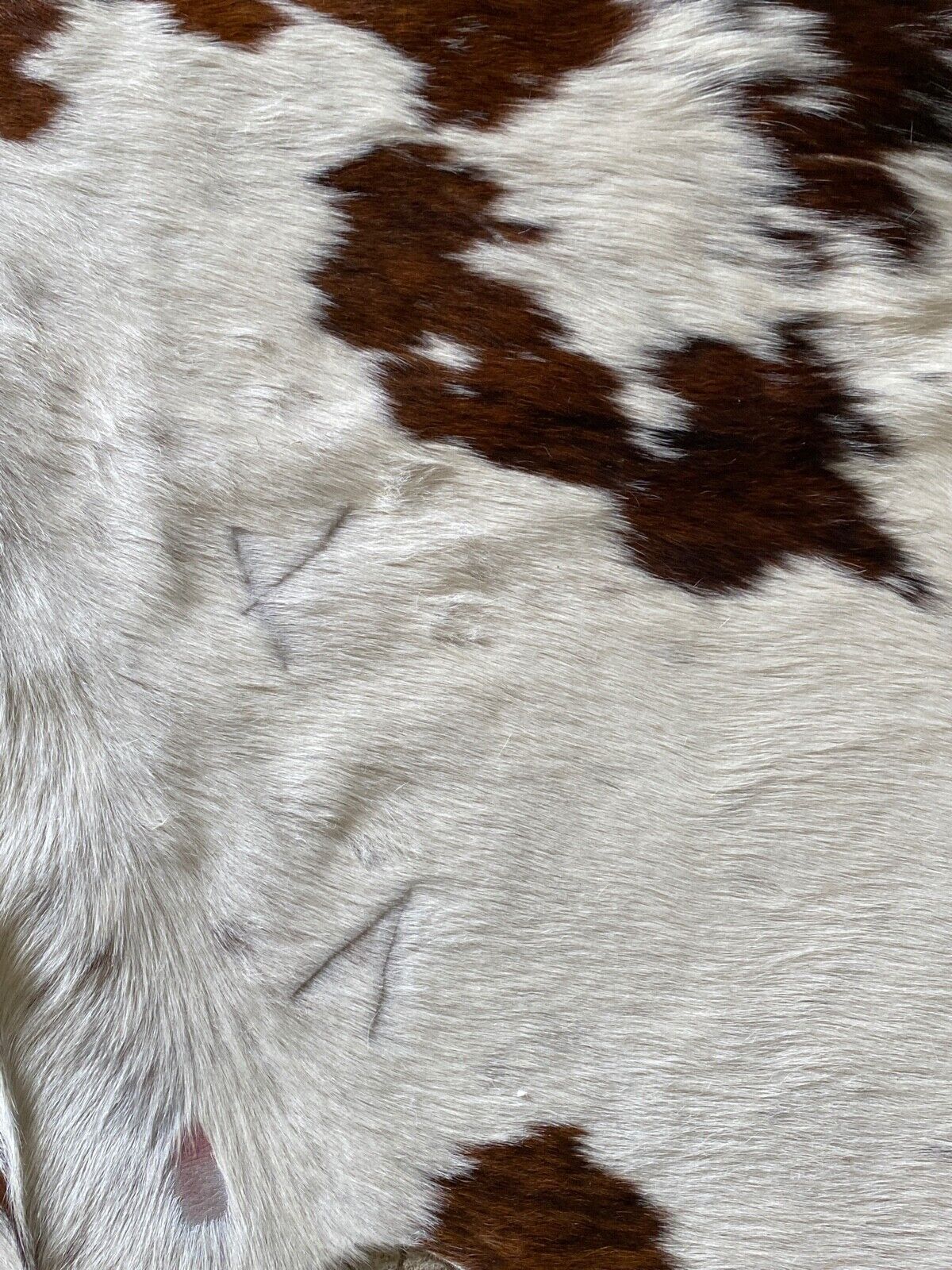Cowhide carpet white and brown 1970 230 x 219
