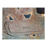 Poêle à bois fonte Lilyver Deville