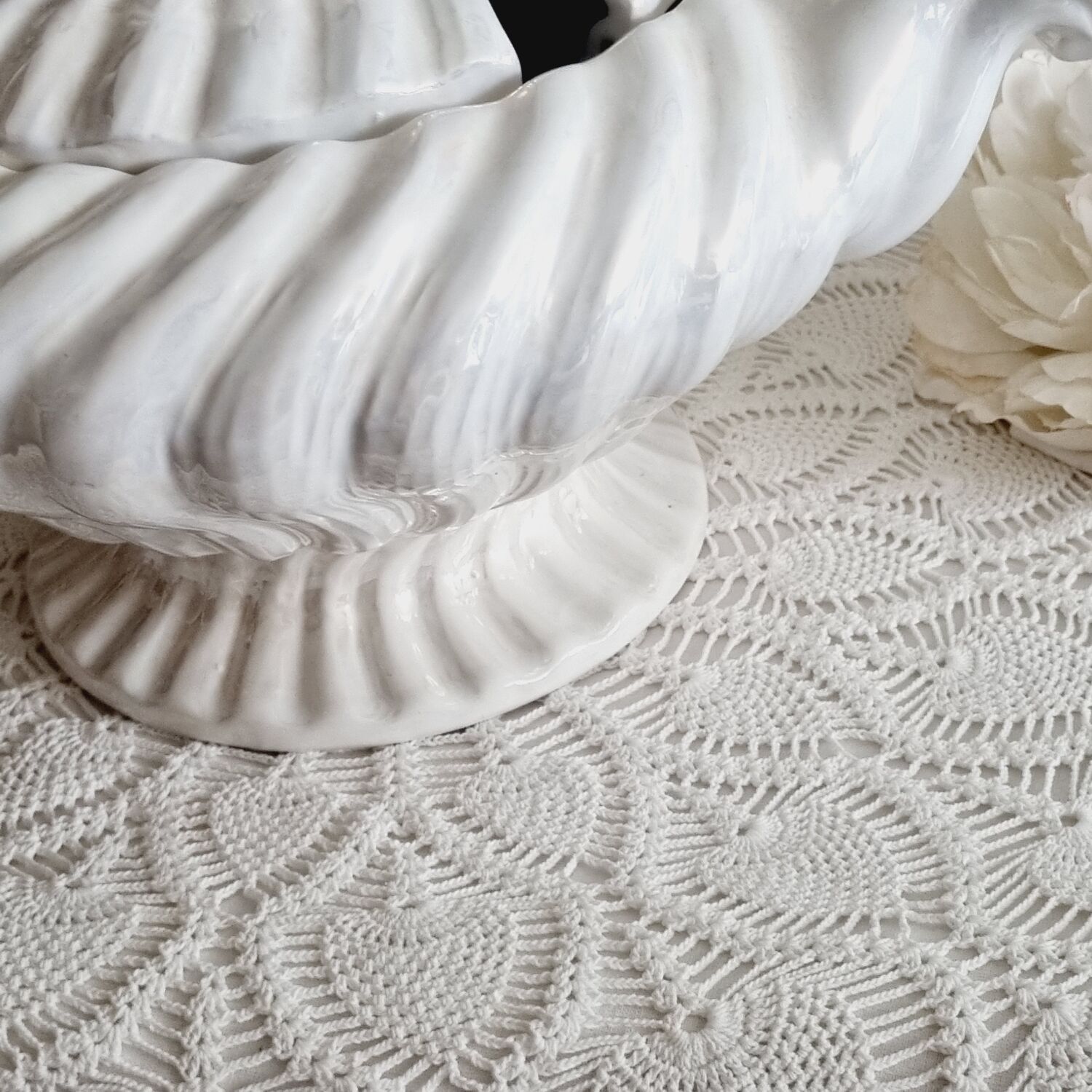 Shell tureen in slurry Portugal