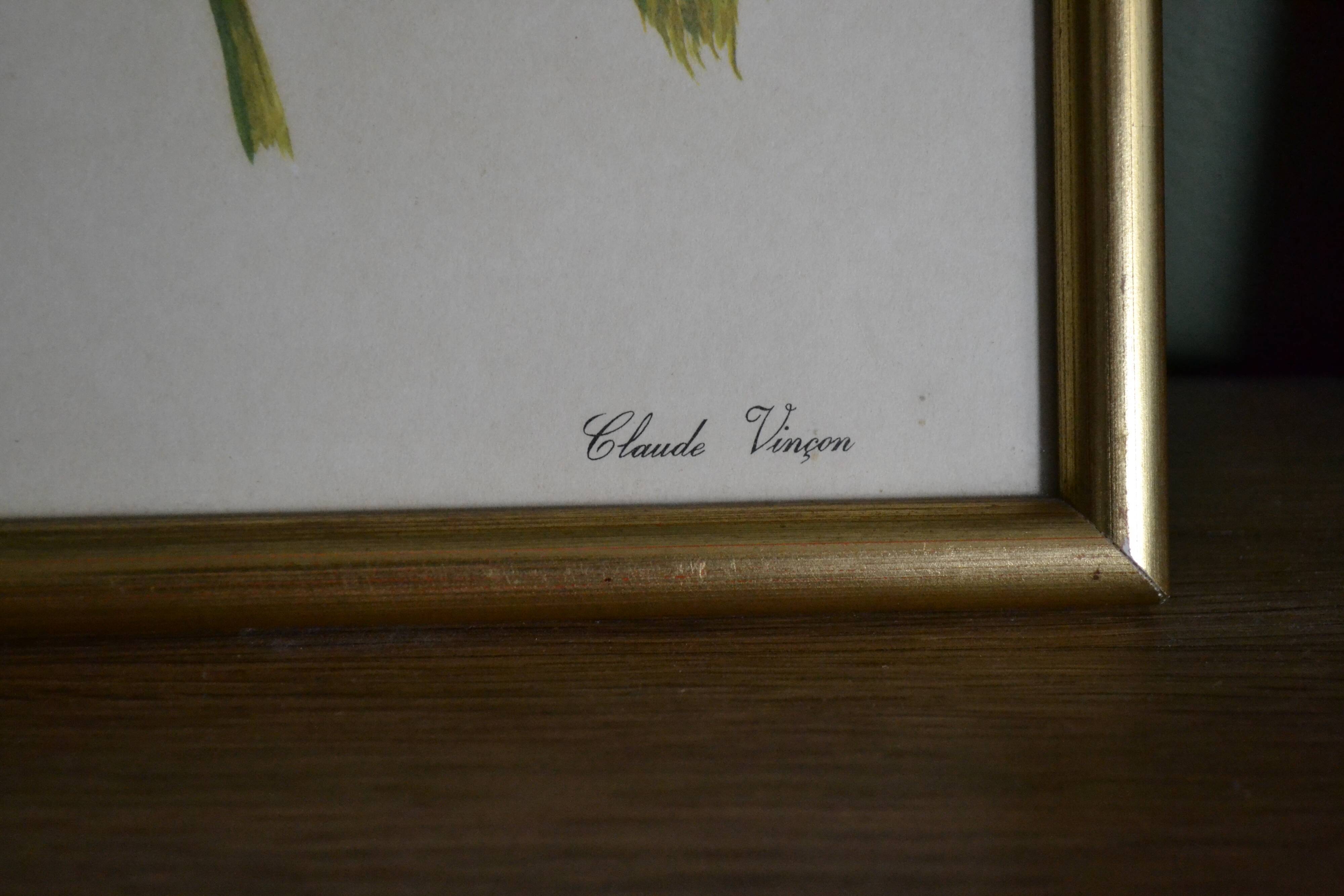 Framed jasmine botanical board