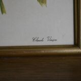 Framed jasmine botanical board