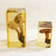 2 inclusions resin Mushrooms