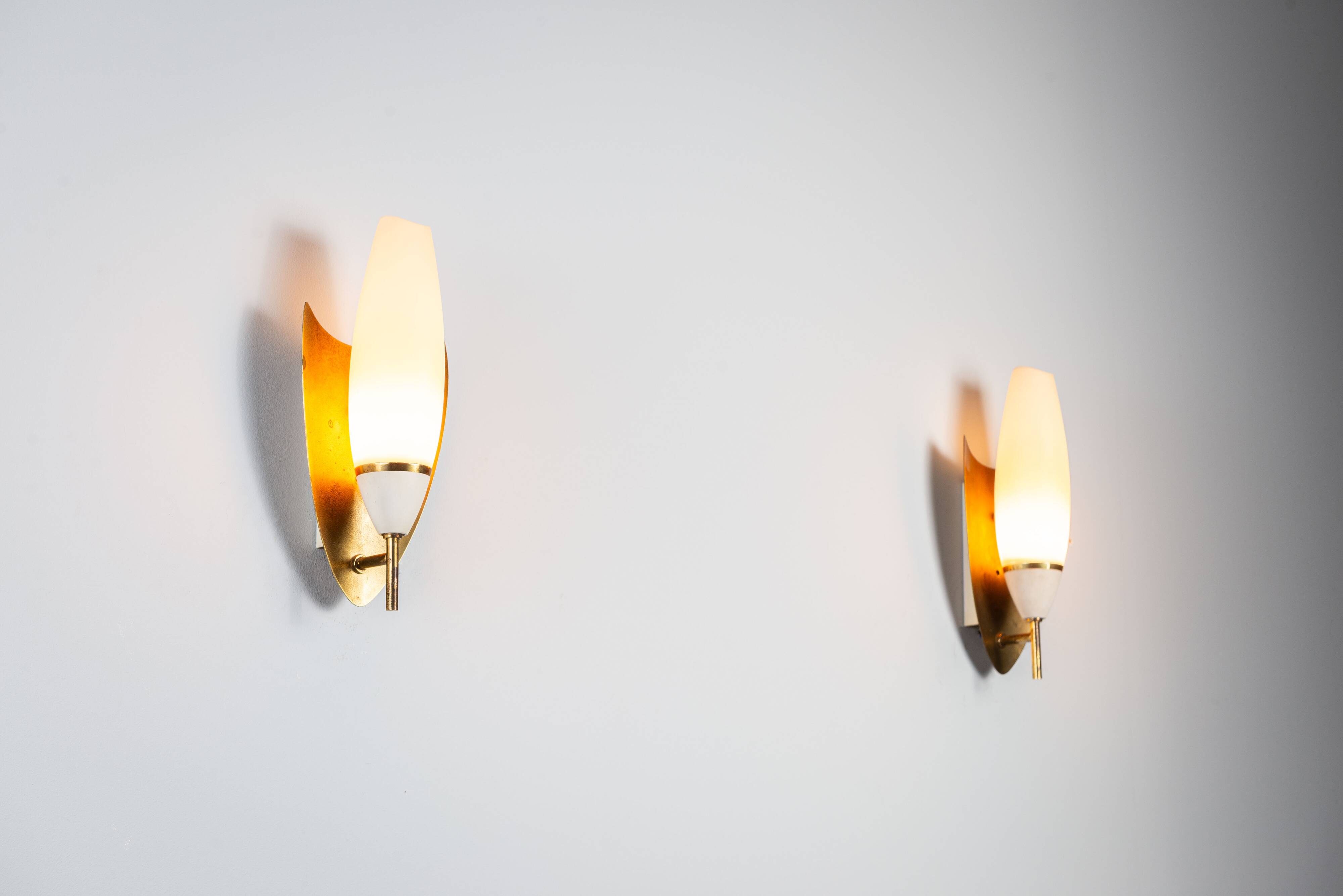 Pair of wall lamps with brass shields and glass shades