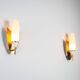 Pair of wall lamps with brass shields and glass shades