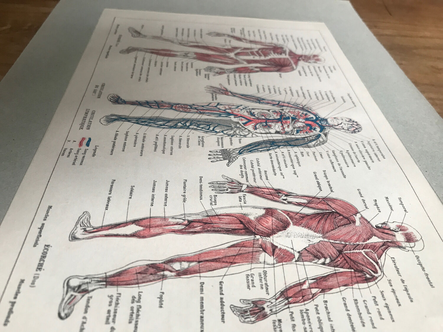 Original medicine board