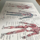 Original medicine board