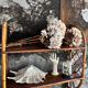 Wicker and rattan shelf