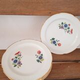 6 dessert plates
