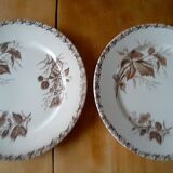 Badonvillers plates