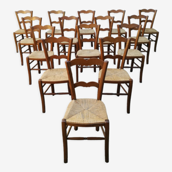 Lot de 15 chaises paillées