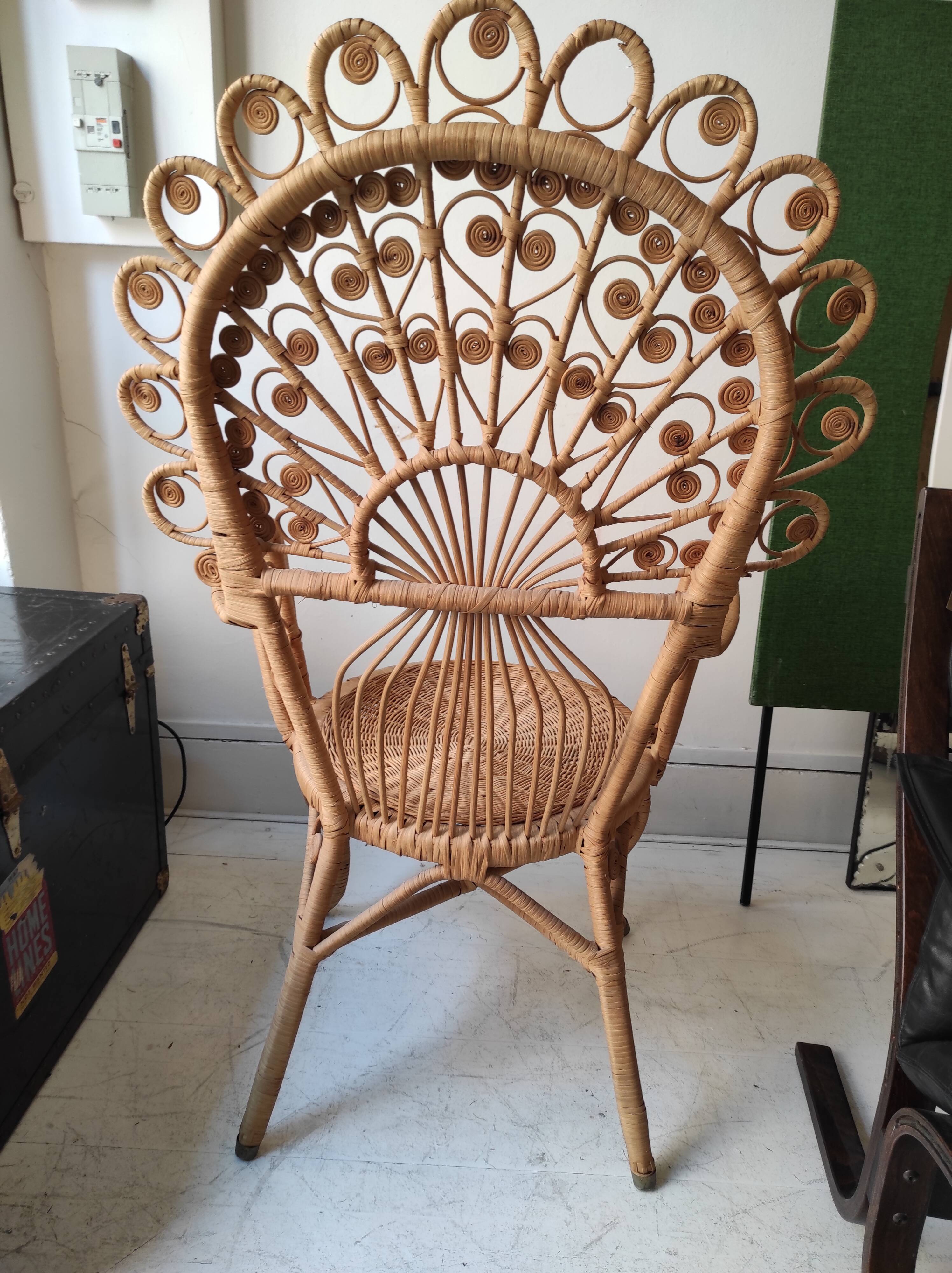 Peacock Chair