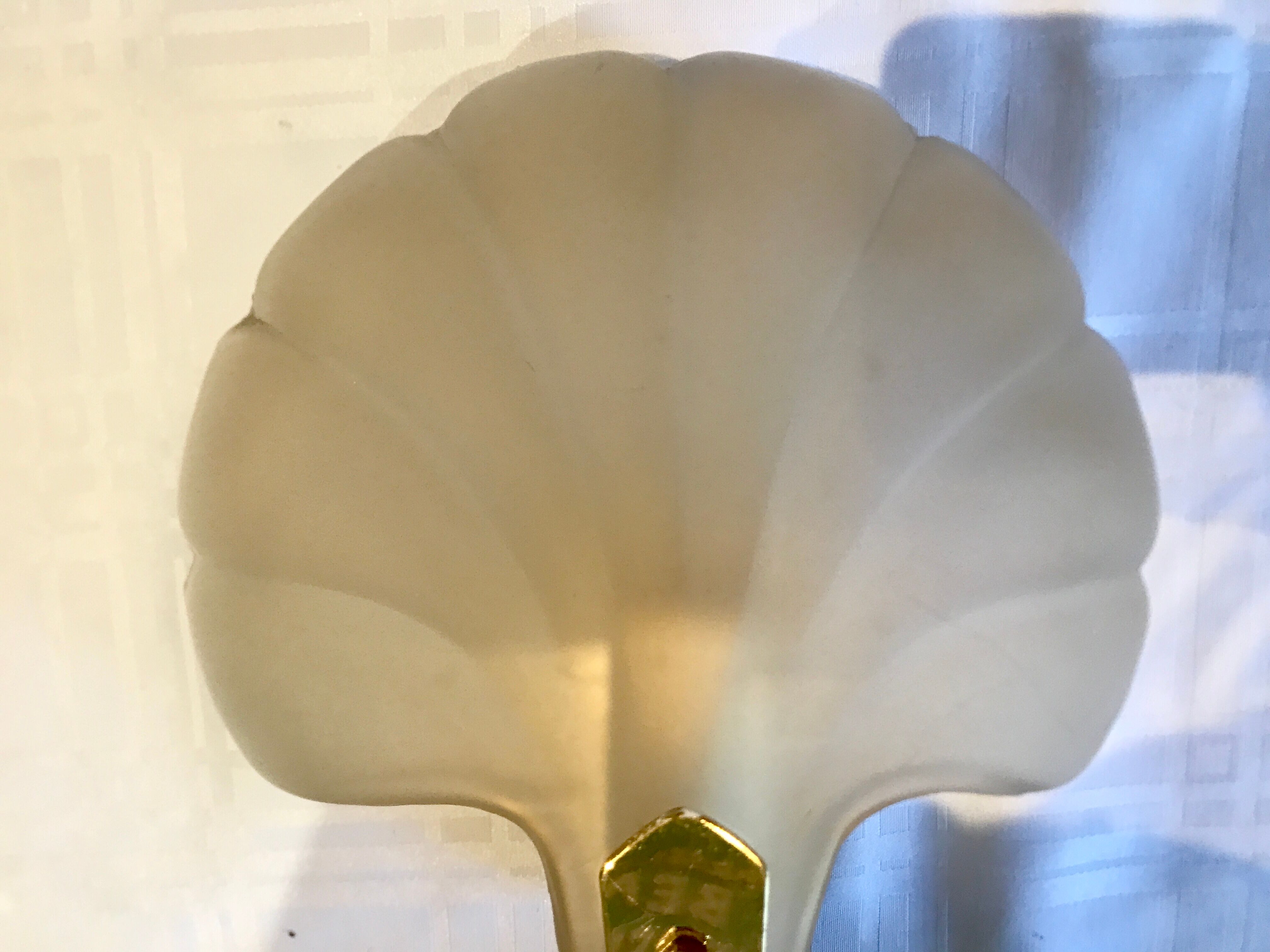 Pair of shell sconces