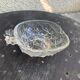 5 vintage transparent molded glass pineapple cups