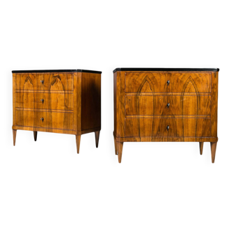 Set of 2 Identical Biedermeier Chests of Drawers, Germany, 19th Century, Wa