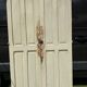 Portes armoire parisienne