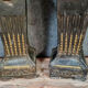 Pair of Louis XVI columns in lacquered and gilded plaster around 1800