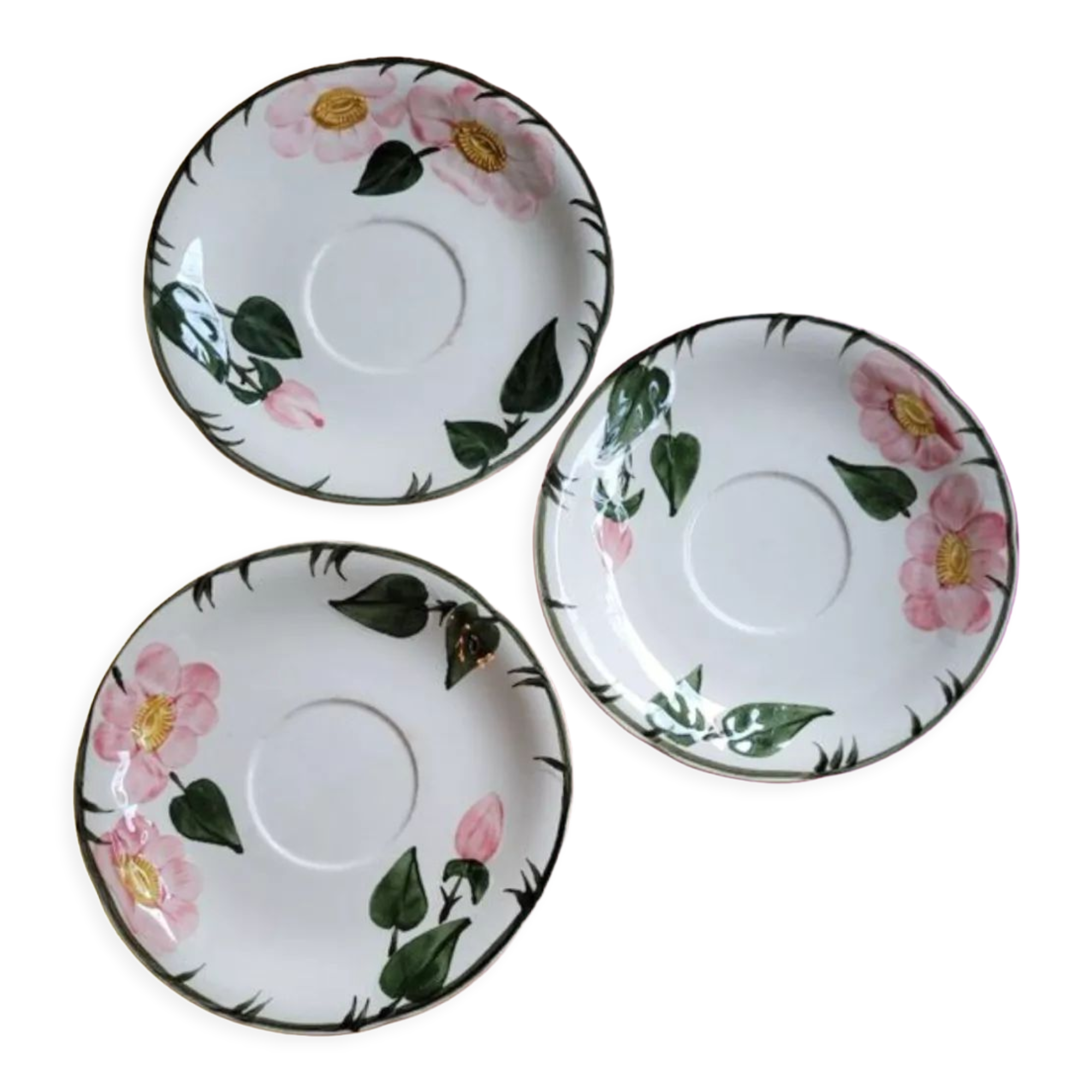 3 coupelles wild rose