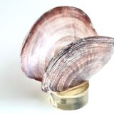 Shell on resin base, 70s