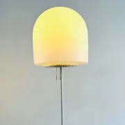 A251 Floor Lamp By Aldo Van Den Nieuwelaar For Artimeta, The Netherlands, 1972