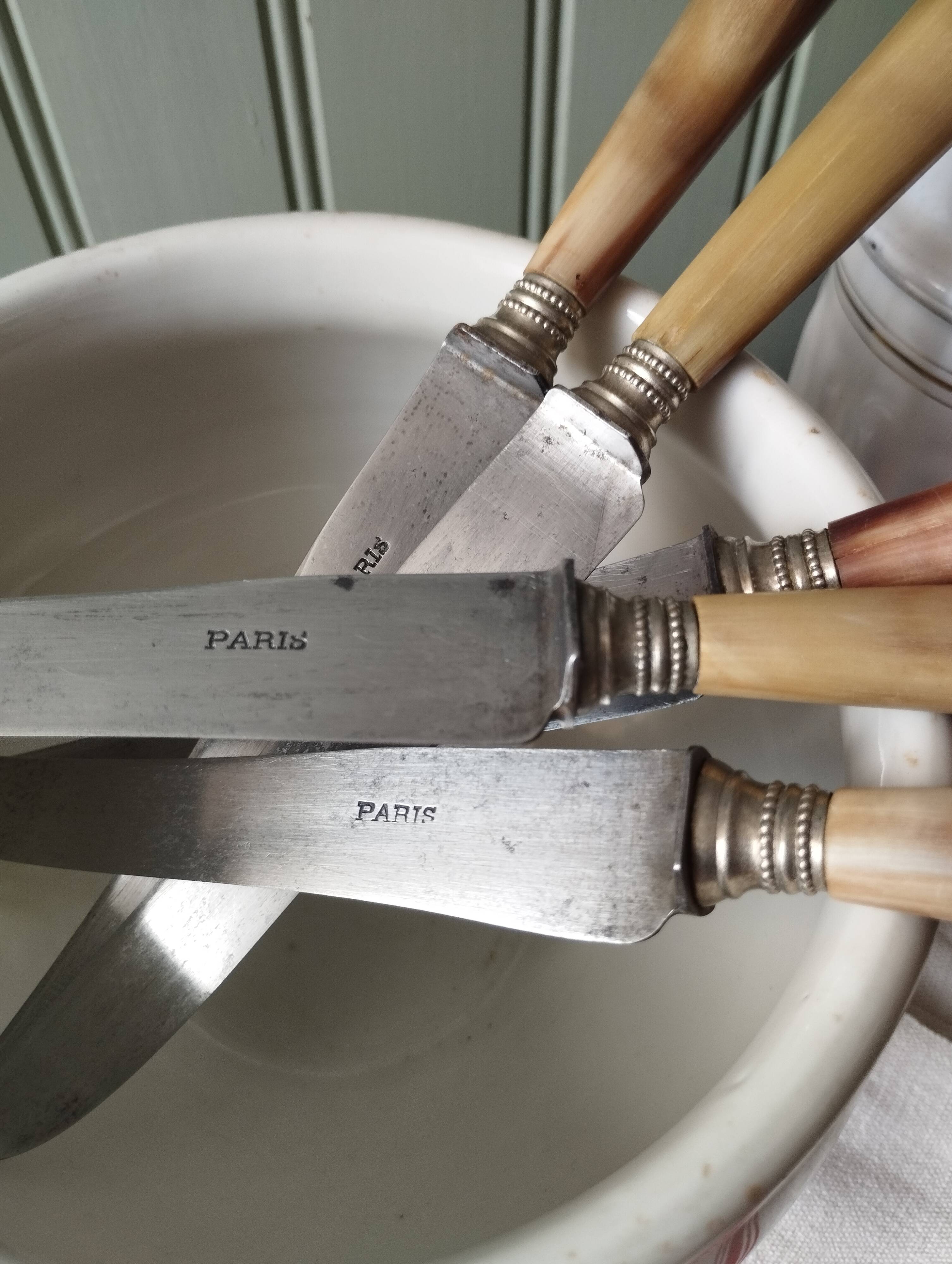Lot de 5 couteaux « Paris » manche en corne et virole en argent.