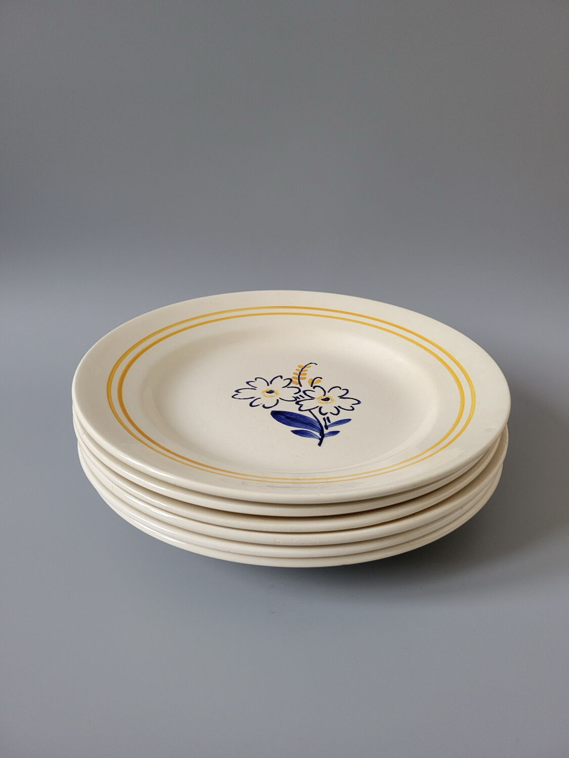 6 floral dinner plates