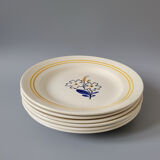 6 floral dinner plates