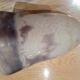 Old glass paste tulip wall light