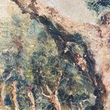 Oil on canvas, Olive tree trunk signed 20th Brvao (JG)