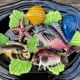 Decorative plate in slurry-decoration fish