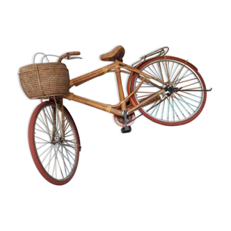 Rattan bike