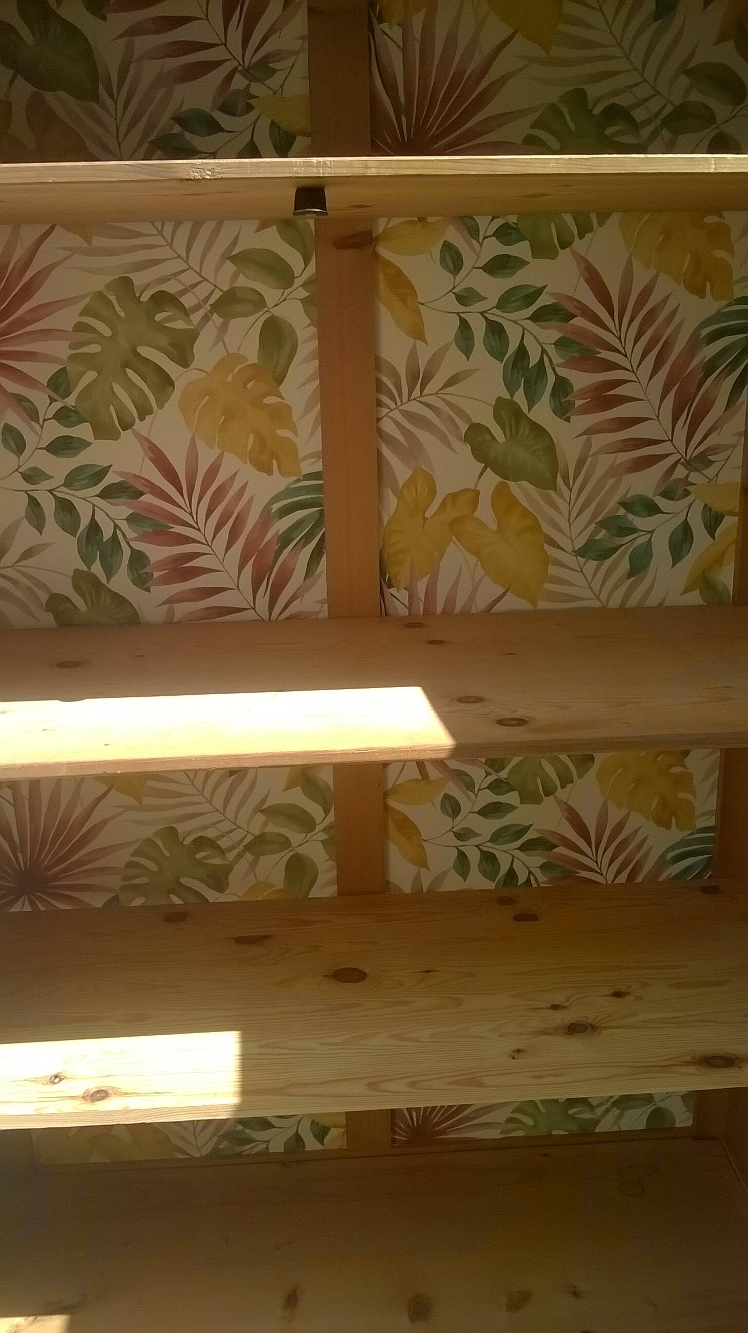 Parisian wardrobe from the 50s