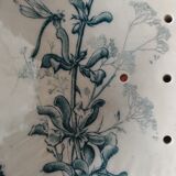 Old asparagus dish