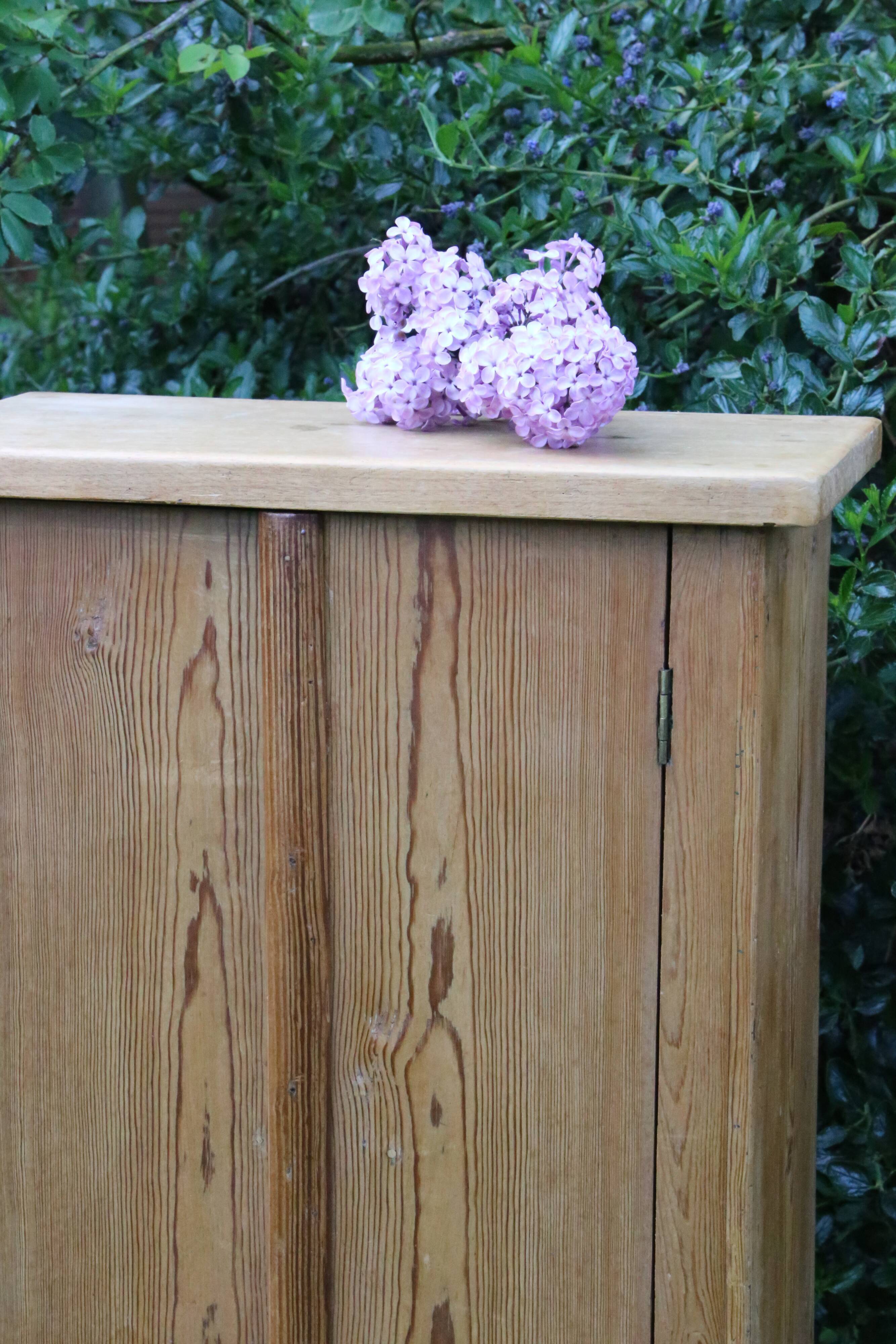 Pine cabinet, vintage