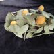 1 or 2 ceiling lights/wall lamps with a lemon fruit design, Art et Floristie collection.