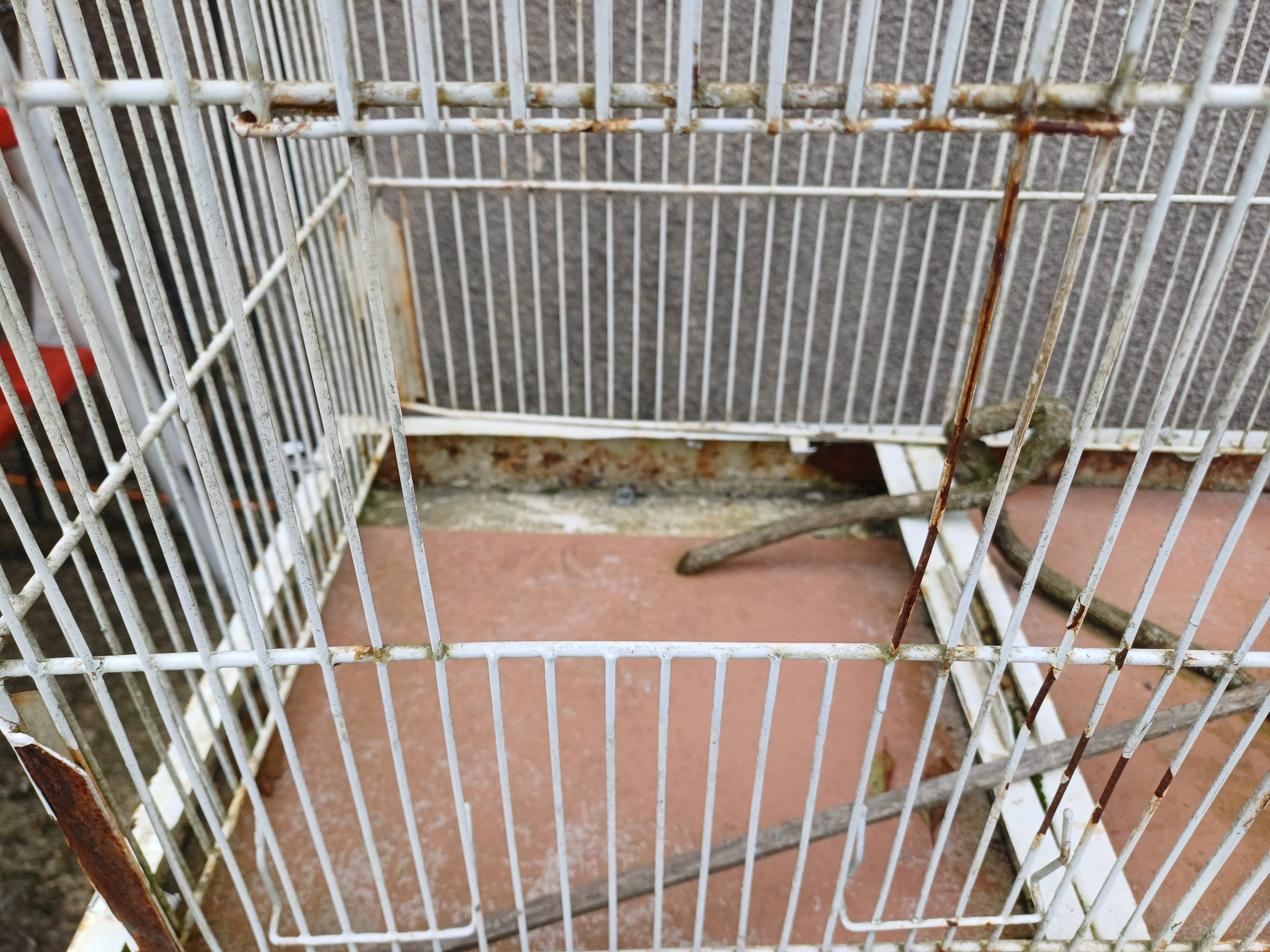 Cage à Oiseaux Fer 1900