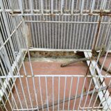 Iron Bird Cage 1900