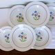 6 deep plates from Salins model Lily 2106202