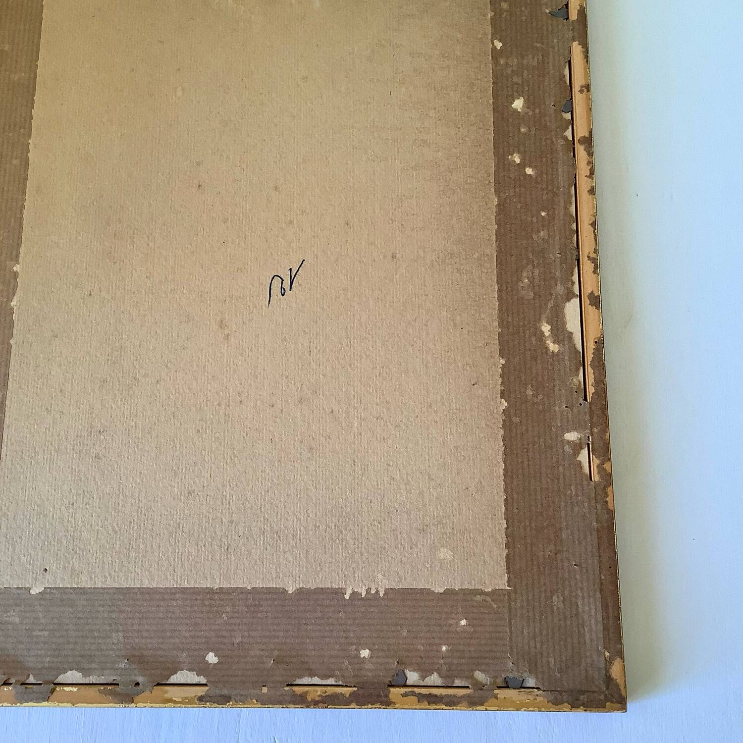 Botanical lithograph by Pierre Joseph Redouté