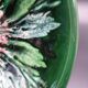 Green faience bowl decorated with multicolored drips around 1970