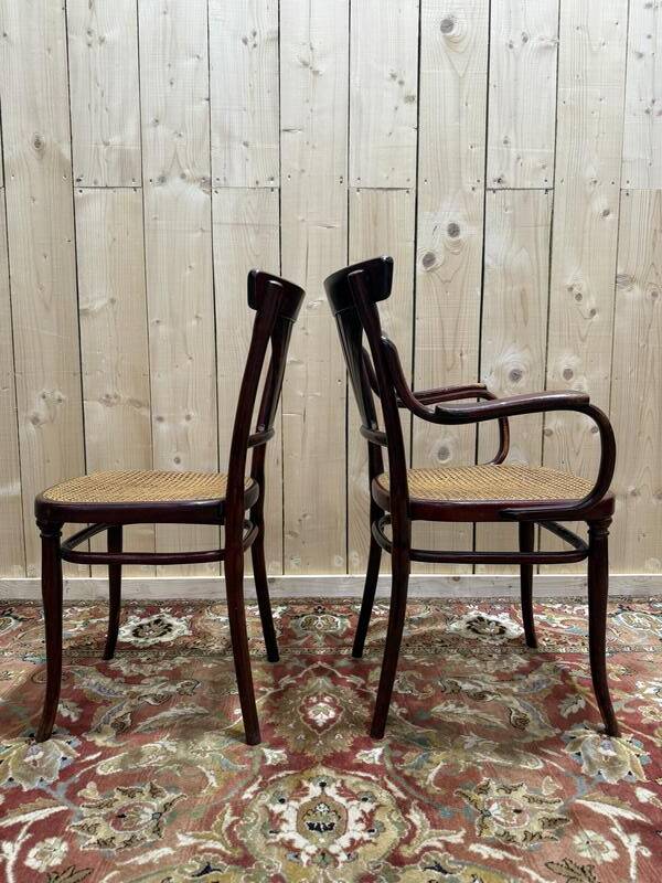Suite de 4 chaises et deux fauteuils cannés thonet à "palmettes"
