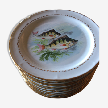Lot o 12 Fish plates and one dish
