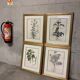 Lot of Paintings Botanical Engravings Old Vintage Herbariums