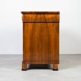 Biedermeier Walnut Chest of Drawers, Germany, 19th Century