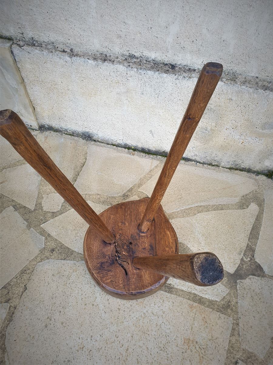 Vintage tripod harness