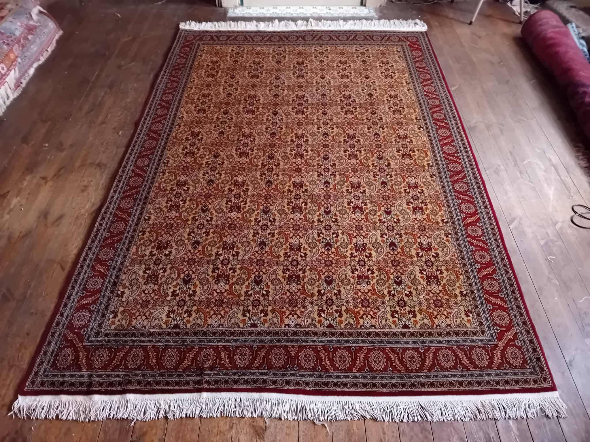 Handmade Shirvan Caucasian Rug 283x200ccm