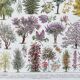 Illustration Millot "Ornamental tree gardens"