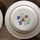 Set of 10 flat plates
